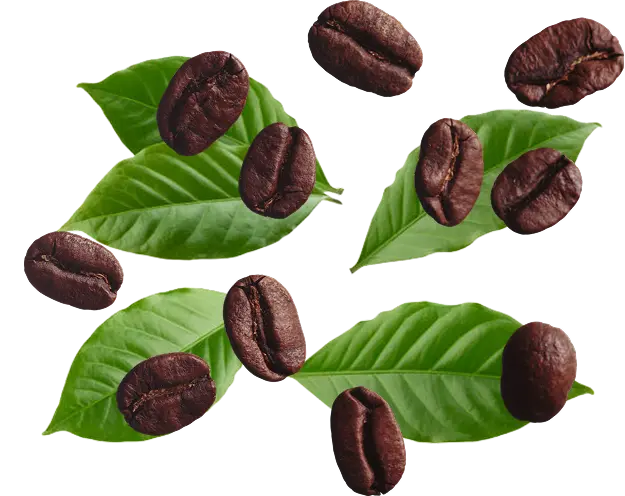 Coffee wrapper